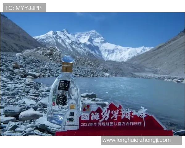 北京乒乓球队团队协作创新之路引发热议与关注