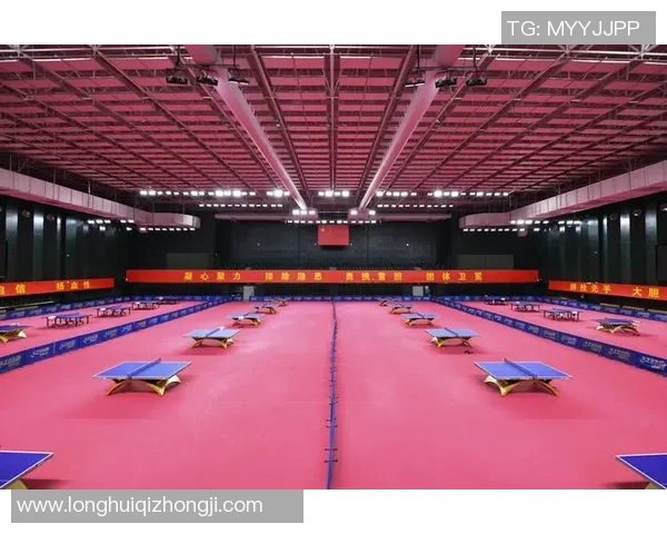 乒乓球盛宴揭秘成都乒乓球队的训练与竞技状态全景分析 乒乓球盛宴揭秘成都乒乓球队的训练与竞技状态全景分析