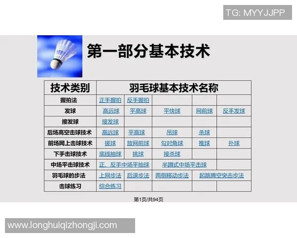 武汉羽毛球队控制打法的深度分析与战术解读
