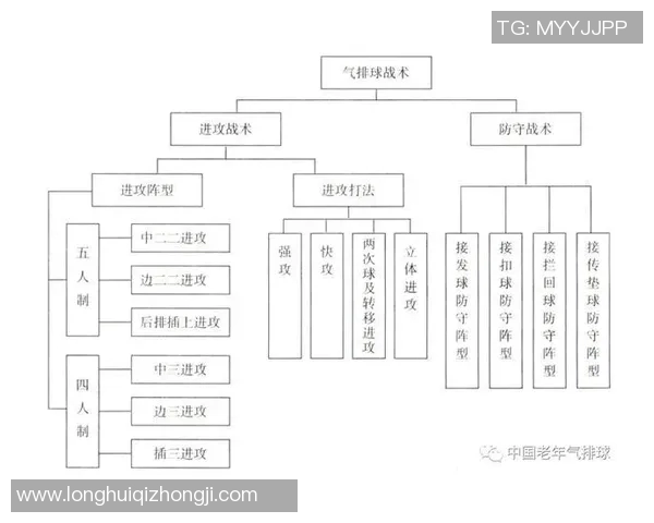 深圳排球队总决赛表现分析：意识与战术的完美结合探讨
