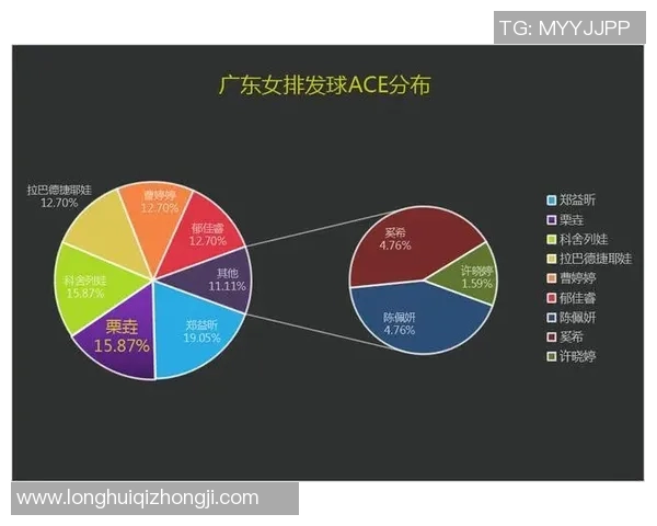 上海排球队意识对比深度解析与发展趋势探讨