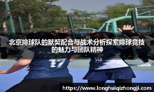 熊猫体育