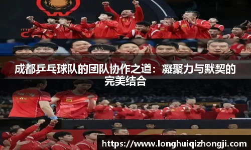 熊猫体育